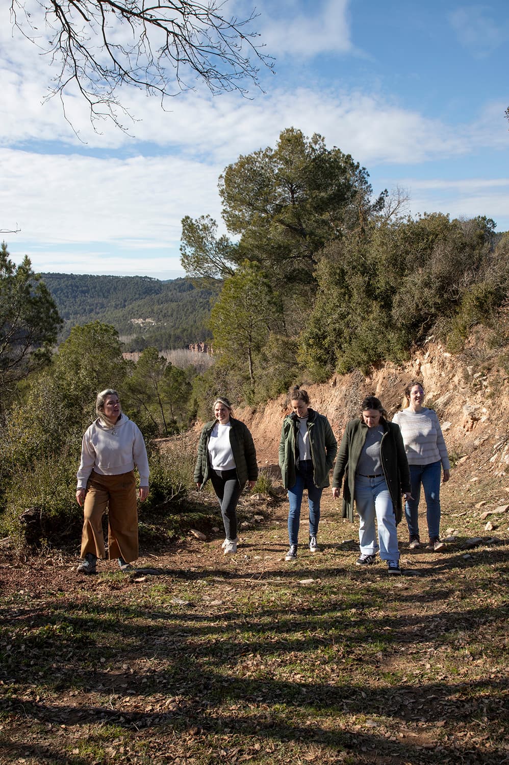 Somos Image 6